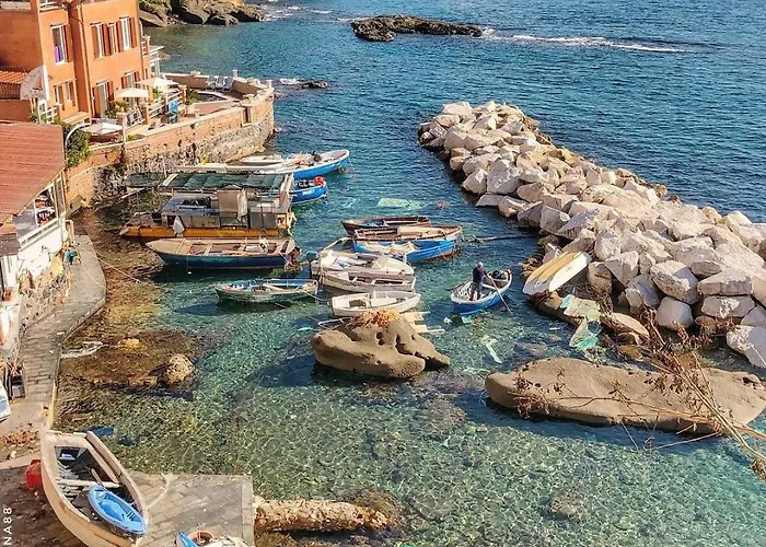 בית נופש Cap82